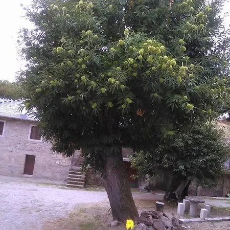 Casa Da Gadanha * Браганса